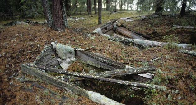 В якутском лесу нашли нелегальное кладбище мигрантов